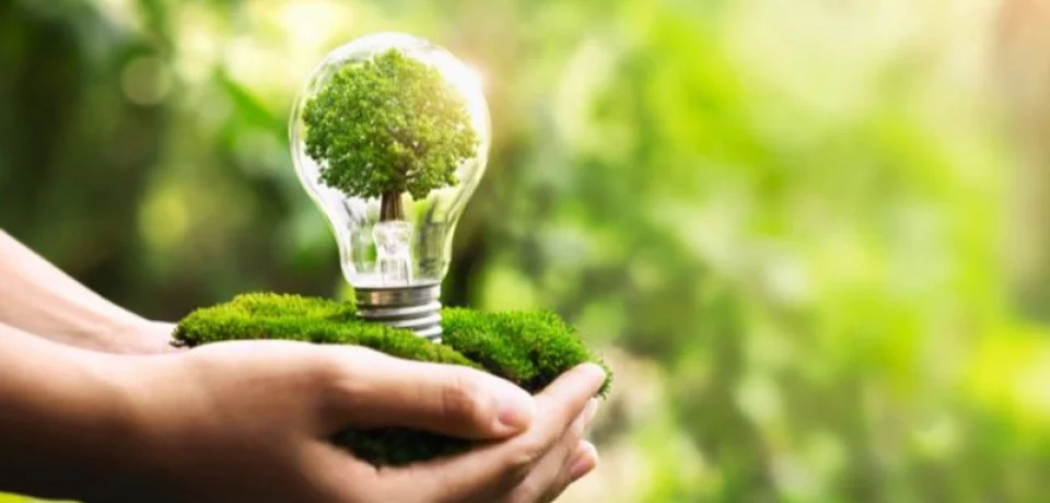 Eco-Friendly Lighting The Growing Demand in Thailand